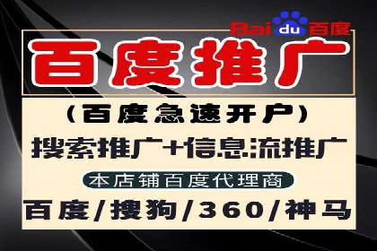 实战案例分析：如何通过竞价推广公司提升转化率